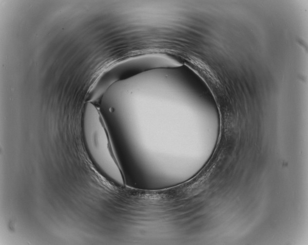 X0000096391177200802141448