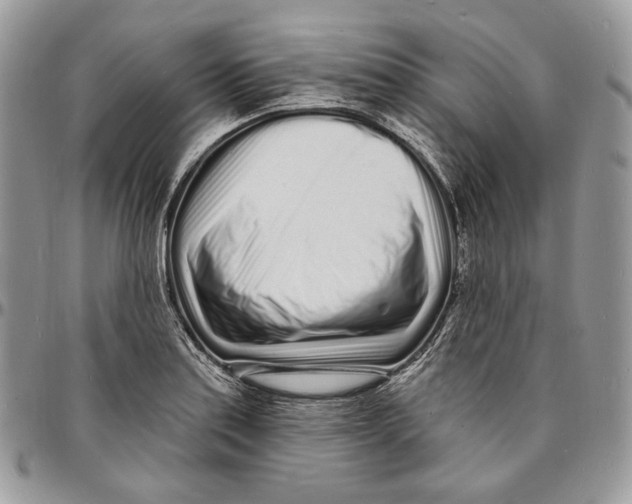 X0000096391179200802141448