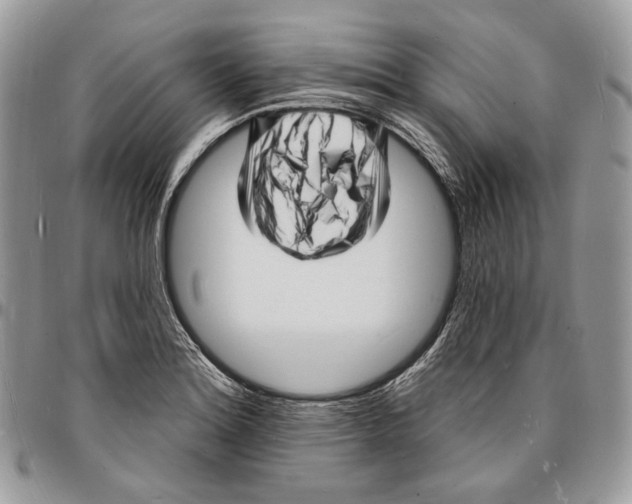 X0000096391180200802141448