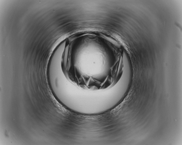 X0000096391181200802141448