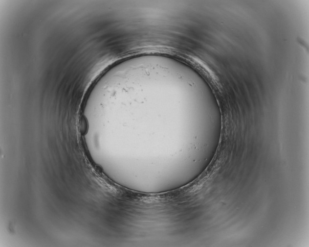 X0000096391182200802141448