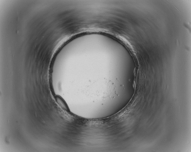 X0000096391183200802141448