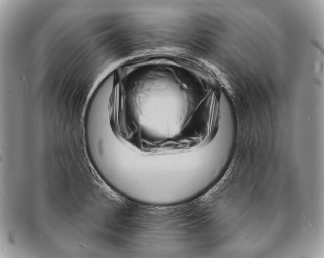 X0000096391184200802141448