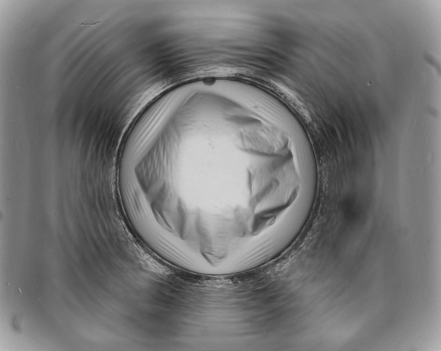 X0000096391186200802141448