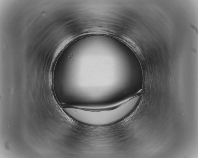 X0000096391188200802141448