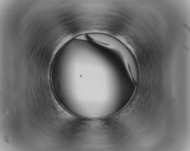 X0000096391189200802141448