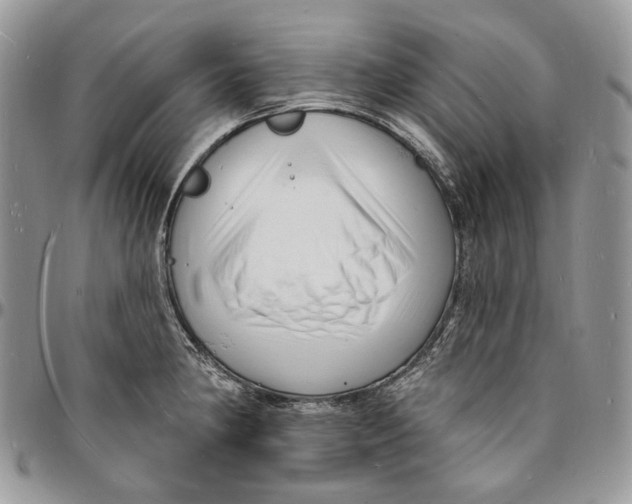 X0000096391190200802141448