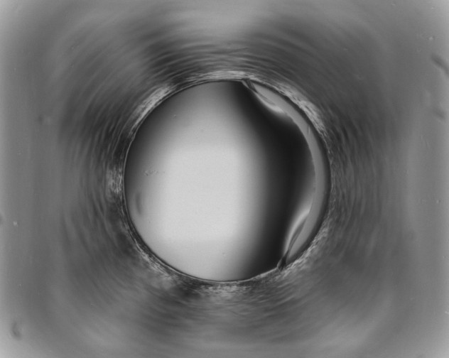 X0000096391193200802141448
