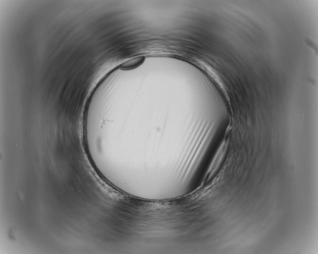 X0000096391195200802141448