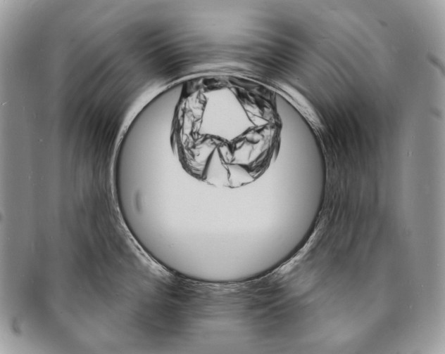 X0000096391196200802141448