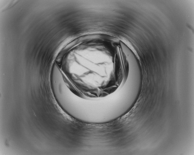 X0000096391197200802141448