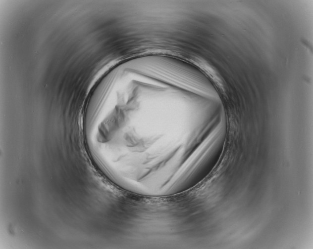 X0000096391198200802141448