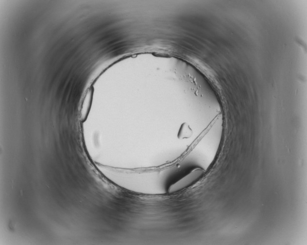 X0000096391200200802141448