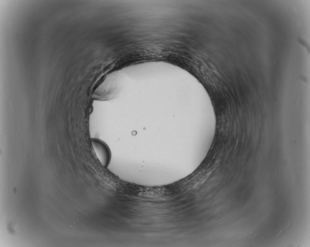 X0000096391201200802141447