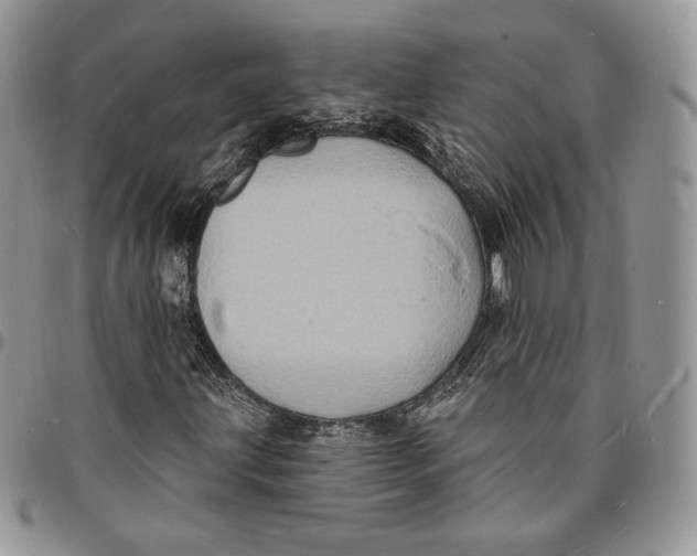 X0000096391203200802141447