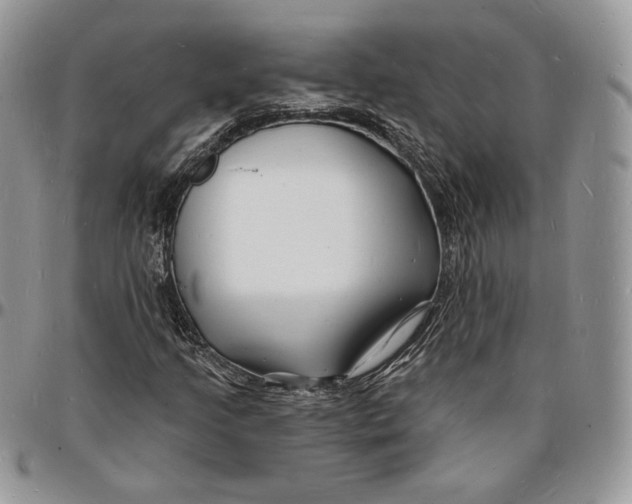 X0000096391205200802141447
