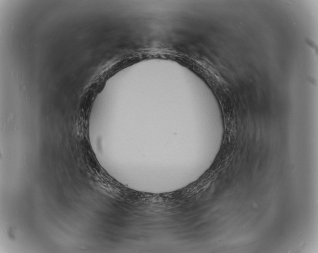 X0000096391207200802141447