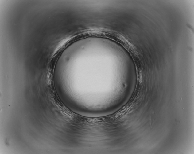X0000096391208200802141447