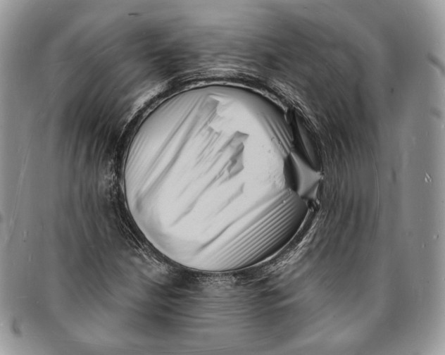 X0000096391210200802141447