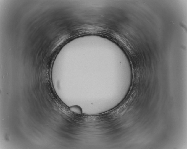 X0000096391211200802141447