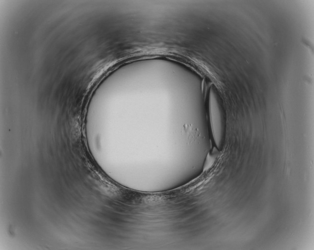 X0000096391212200802141447
