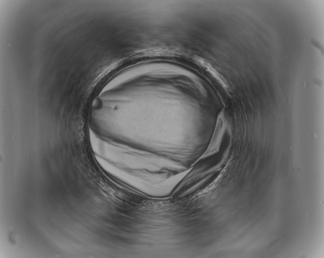 X0000096391213200802141447