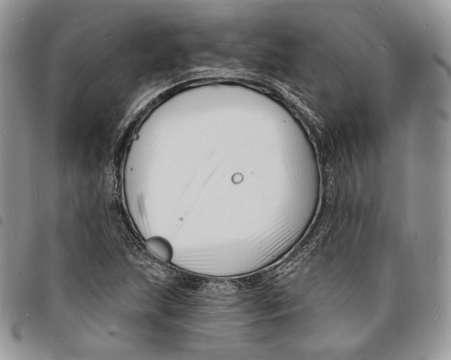 X0000096391215200802141447