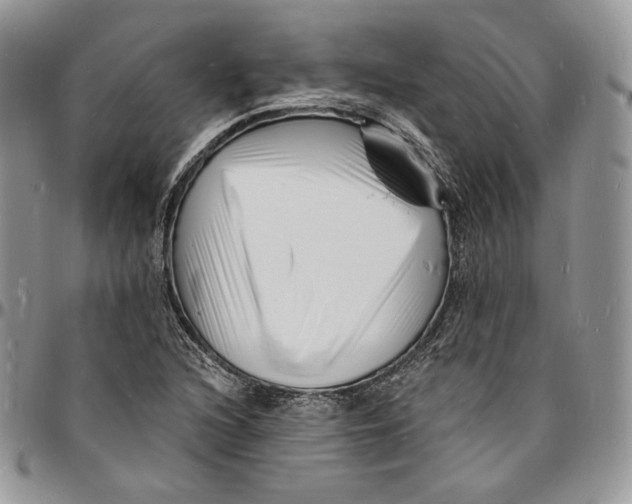X0000096391216200802141447