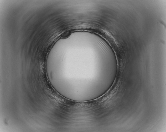 X0000096391217200802141447