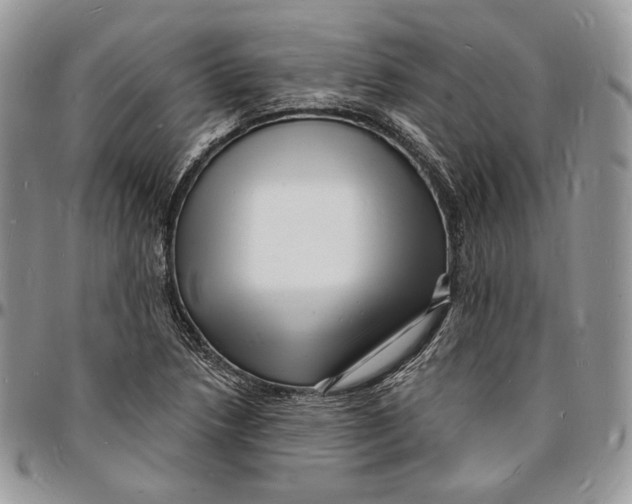 X0000096391218200802141447