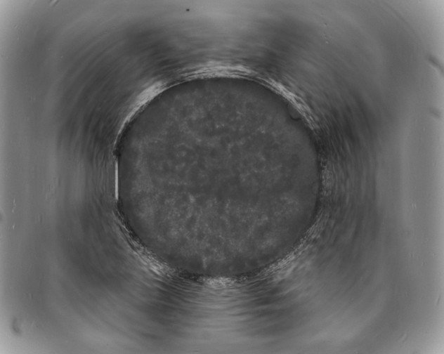 X0000096391219200802141447