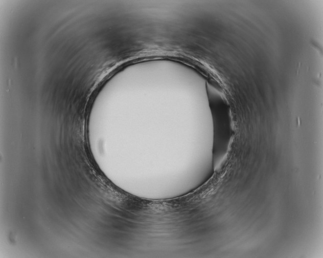 X0000096391220200802141447