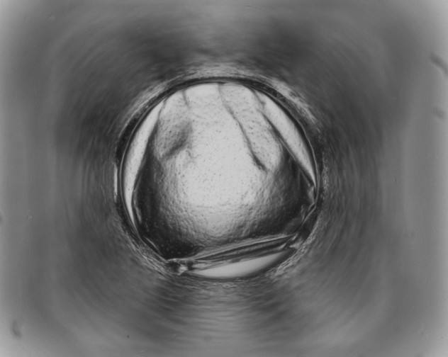 X0000096391221200802141447
