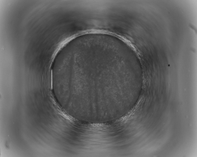 X0000096391223200802141447