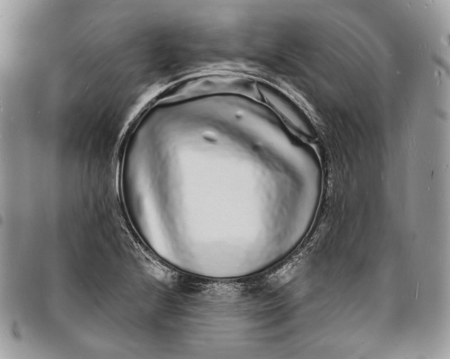 X0000096391224200802141447