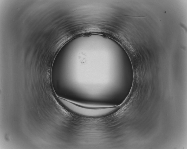 X0000096391225200802141447