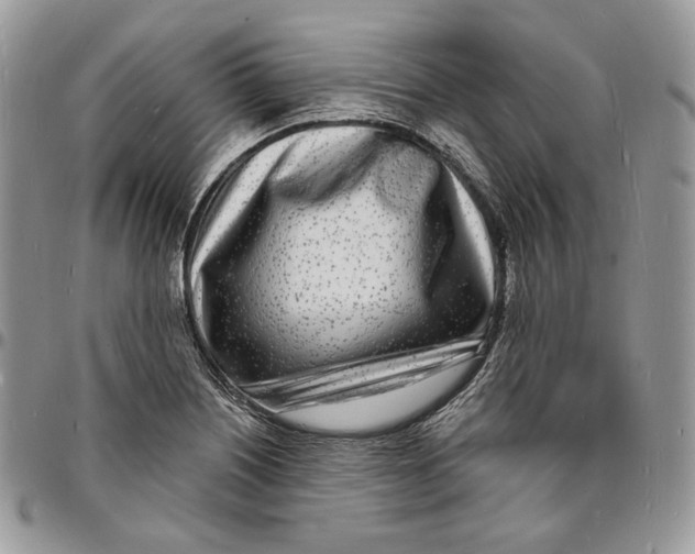 X0000096391226200802141447