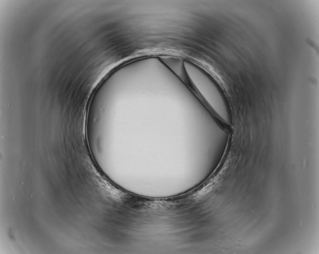 X0000096391228200802141447