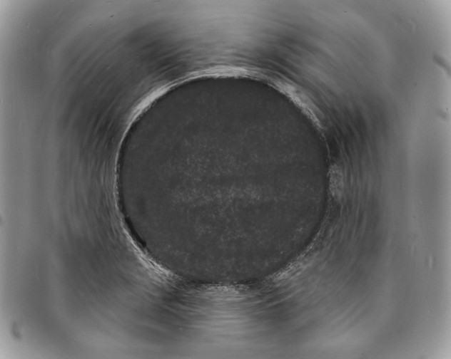 X0000096391229200802141447