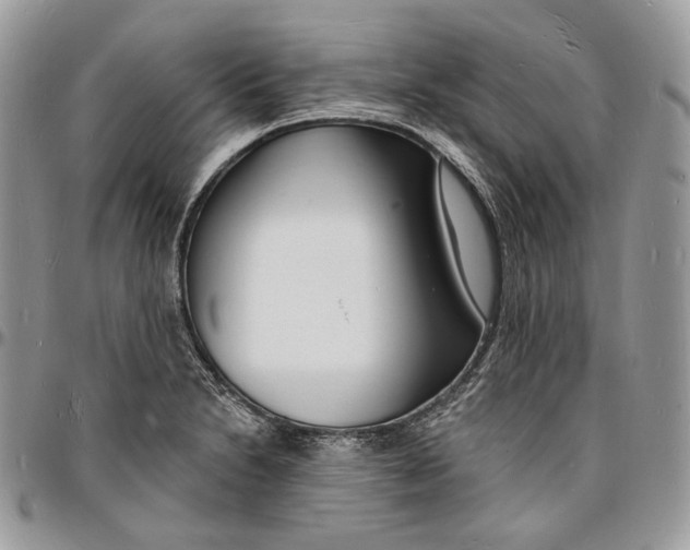 X0000096391230200802141447