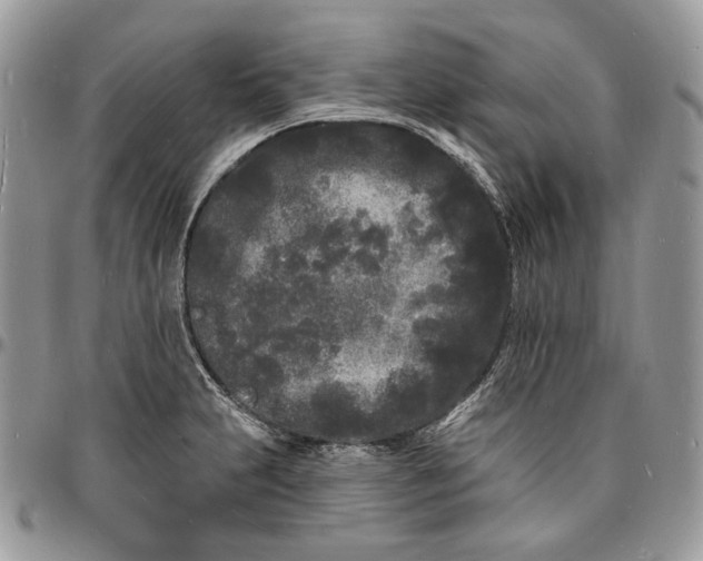 X0000096391231200802141447