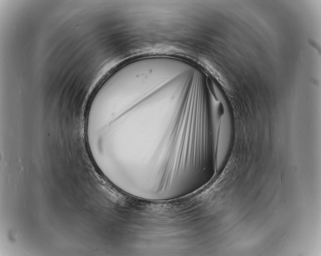 X0000096391232200802141447