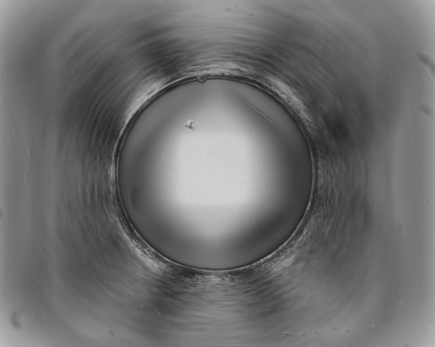 X0000096391234200802141447