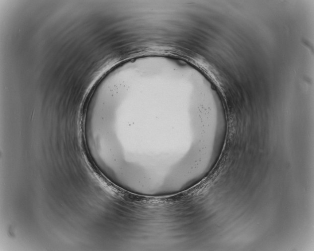 X0000096391235200802141447