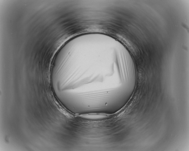 X0000096391236200802141447