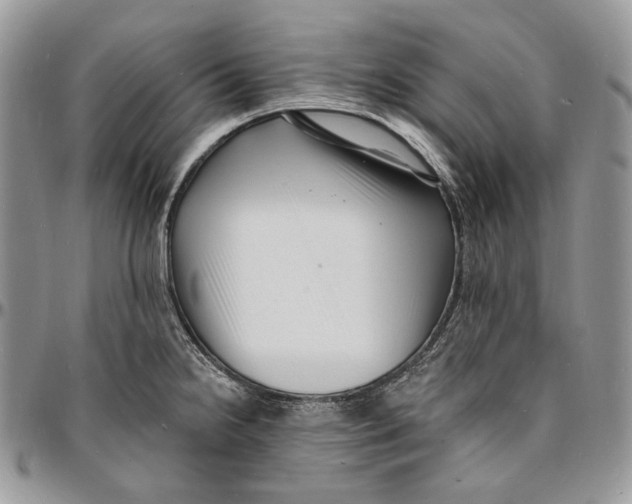 X0000096391238200802141447