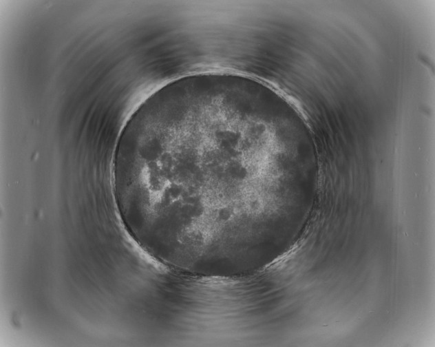 X0000096391239200802141447
