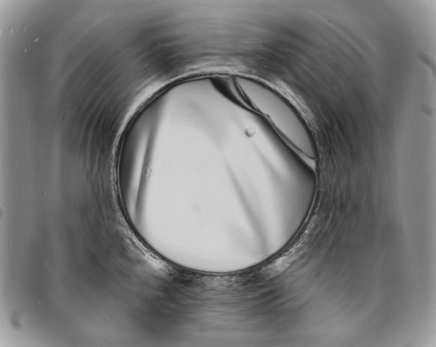 X0000096391240200802141447