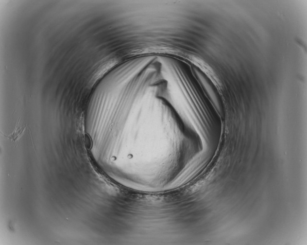 X0000096391241200802141447