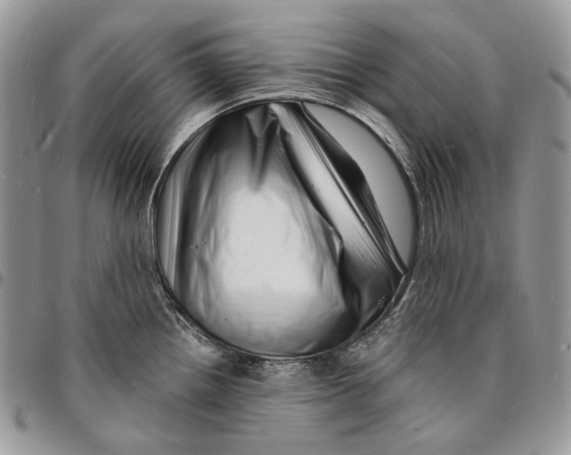 X0000096391242200802141447